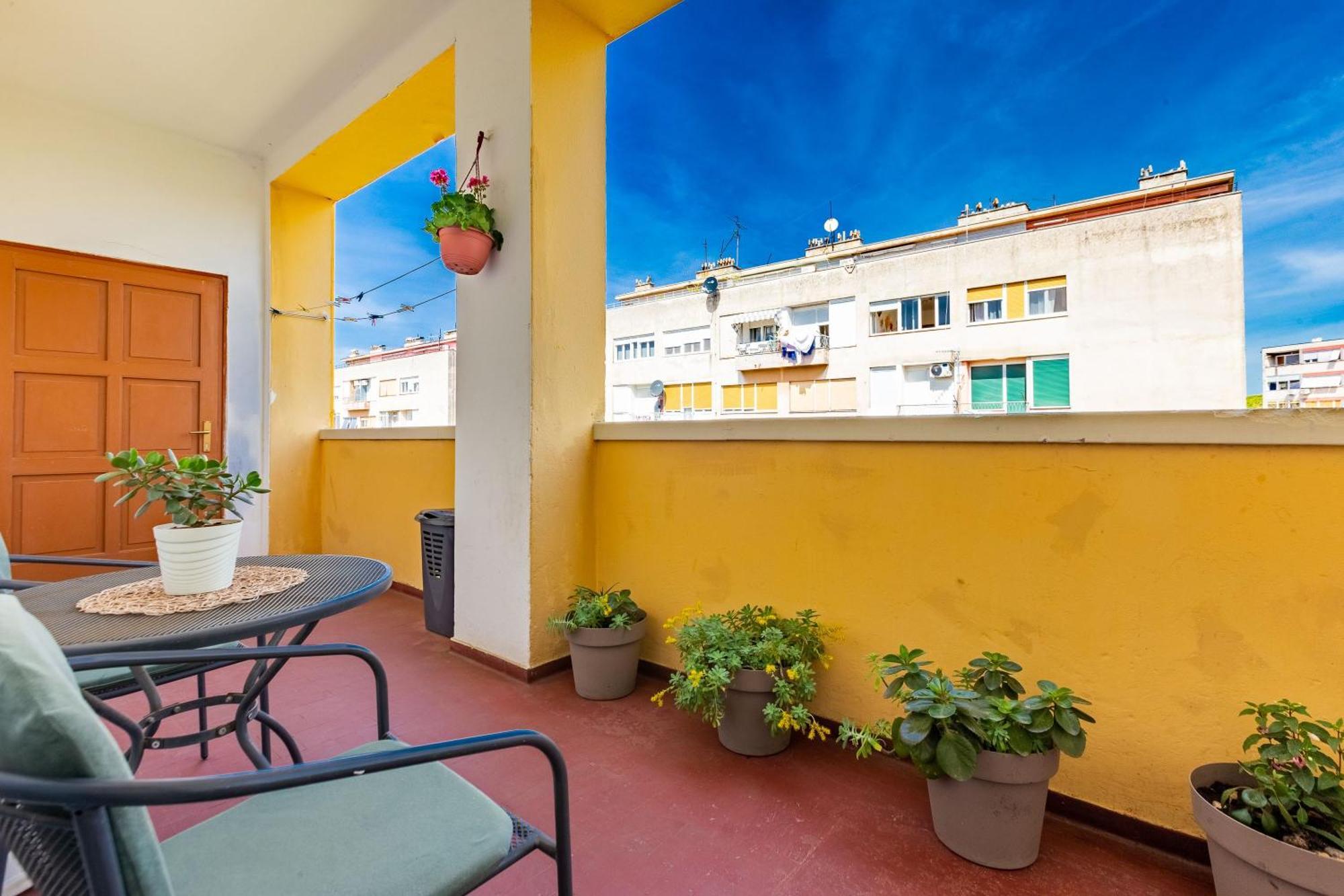 Petra Populare Apartment Zadar
